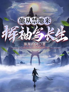 他从禁地来,挥袖写长生 渐渐的剑 TXT全文 全本连载