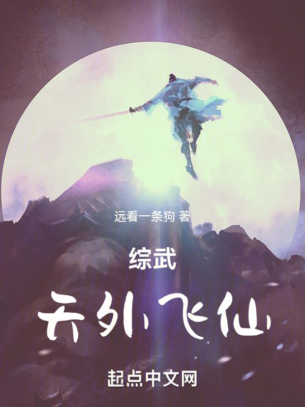 综武：天外飞仙 作者：远看一条狗