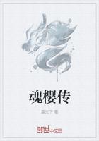 魂樱传 作者：慕天下