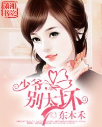 少爷,别太坏