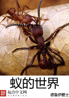 蚁的世界 德鲁伊爵士 TXT全文 全本连载