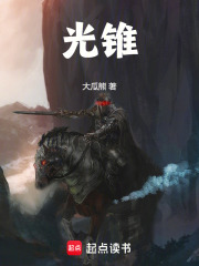 光锥 大瓜熊 TXT全文 全本连载