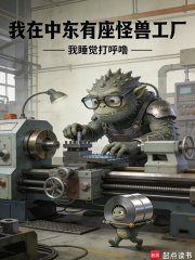 我在中东造军火,被全球通缉? 我睡觉打呼噜 TXT全文 全本连载