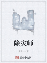 除灾师 永恒之火 TXT全文 全本连载
