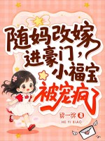 随妈改嫁进豪门,小福宝被宠疯了 贺一笑 TXT全文 全本连载