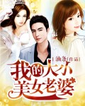 我的大小美女老婆 作者：油条