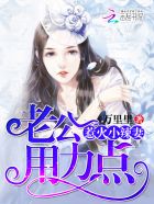99次离婚：厉少，请低调 作者：万里里