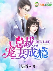 萌宝1加1：总裁宠妻成瘾 作者：千层雪