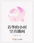 若华的小时空直播间 作者：弄雪天子